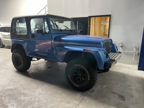 entretien complet d'une voiture jeep wrangler renegade  4L  de 1992 a Chatonnay